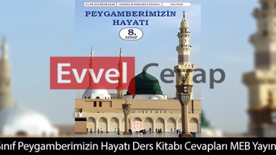 8. Sınıf Peygamberimizin Hayatı Ders Kitabı Cevapları Meb Yayınları