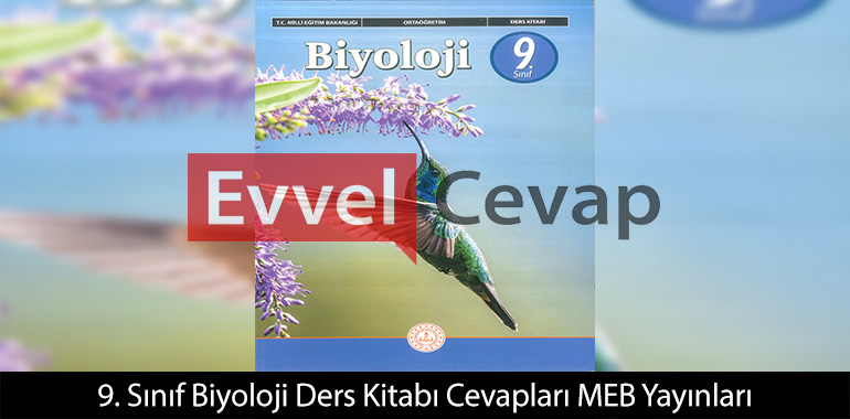 9. Sınıf Biyoloji Ders Kitabı Cevapları Meb Yayınları