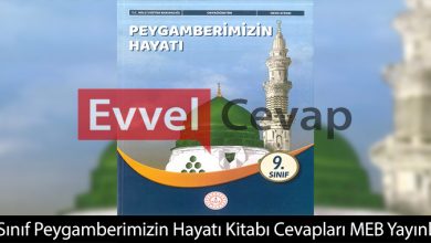 9. Sınıf Peygamberimizin Hayatı Ders Kitabı Cevapları Meb Yayınları