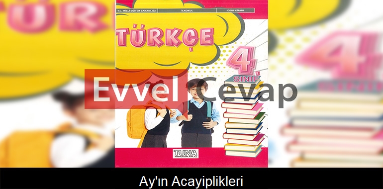 Ay’ın Acayiplikleri Metni Etkinlik Cevapları (4. Sınıf Türkçe)