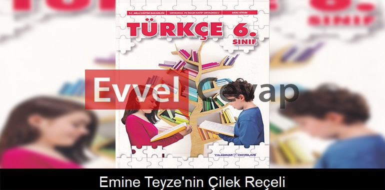 Emine Teyze’nin Çilek Reçeli Metni Etkinlik Cevapları (6. Sınıf Türkçe)