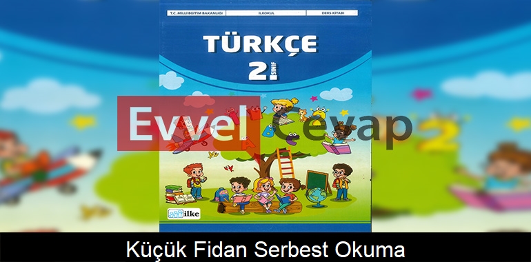 Küçük Fidan Serbest Okuma Metni Etkinlik Cevapları (2. Sınıf Türkçe)