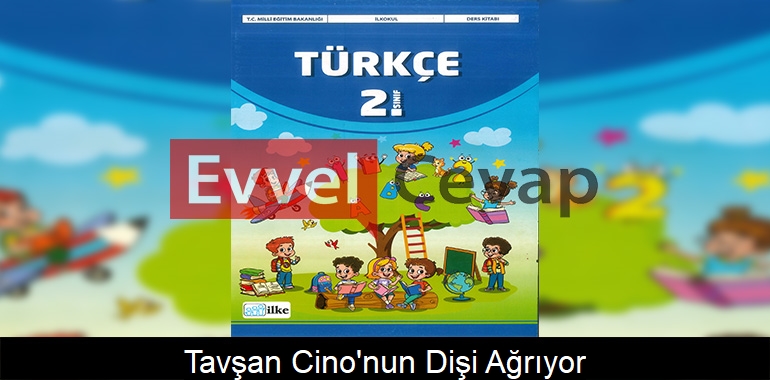 Tavşan Cino’nun Dişi Ağrıyor Metni Etkinlik Cevapları (2. Sınıf Türkçe)
