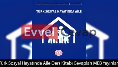 Türk Sosyal Hayatında Aile Ders Kitabı Cevapları Meb Yayınları