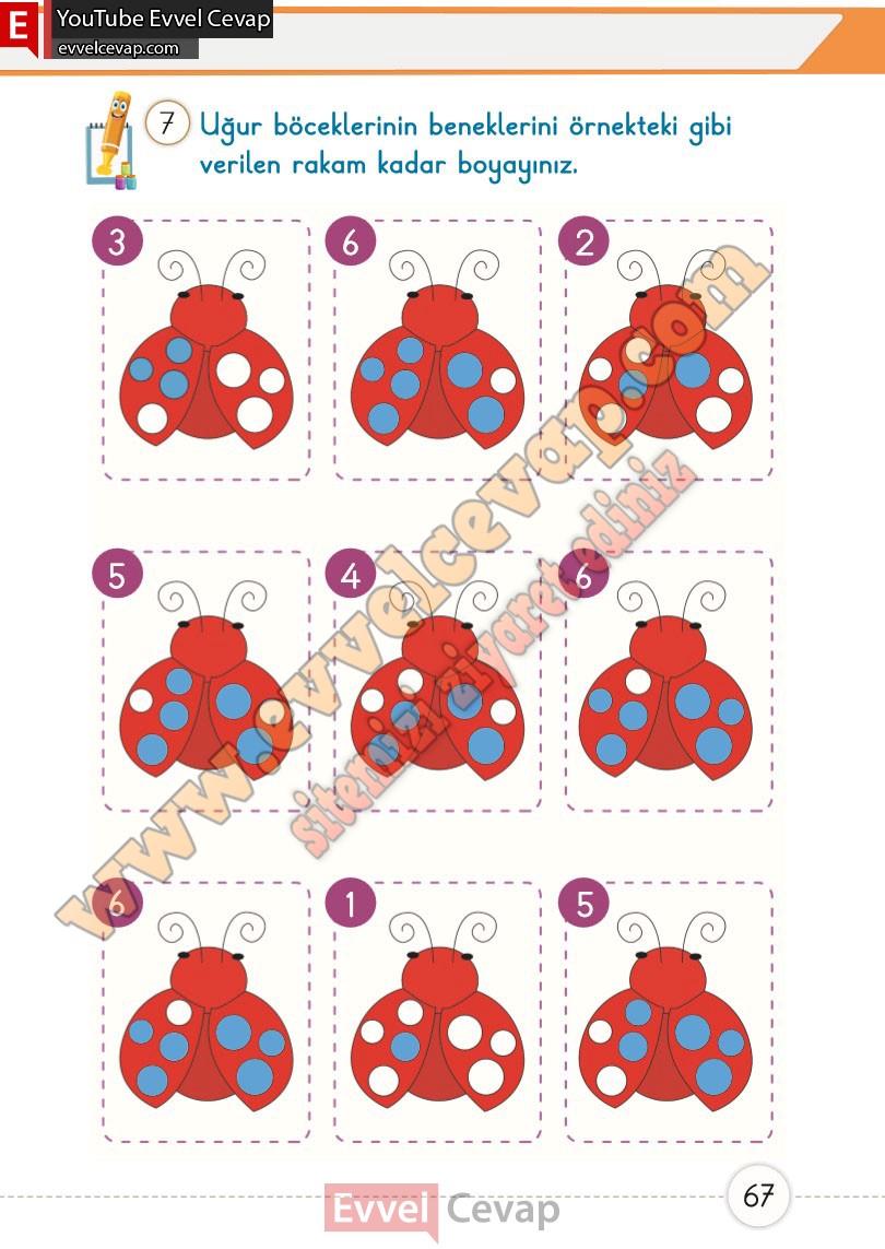 1-sinif-matematik-ders-kitabi-cevaplari-meb-1-kitap-sayfa-67