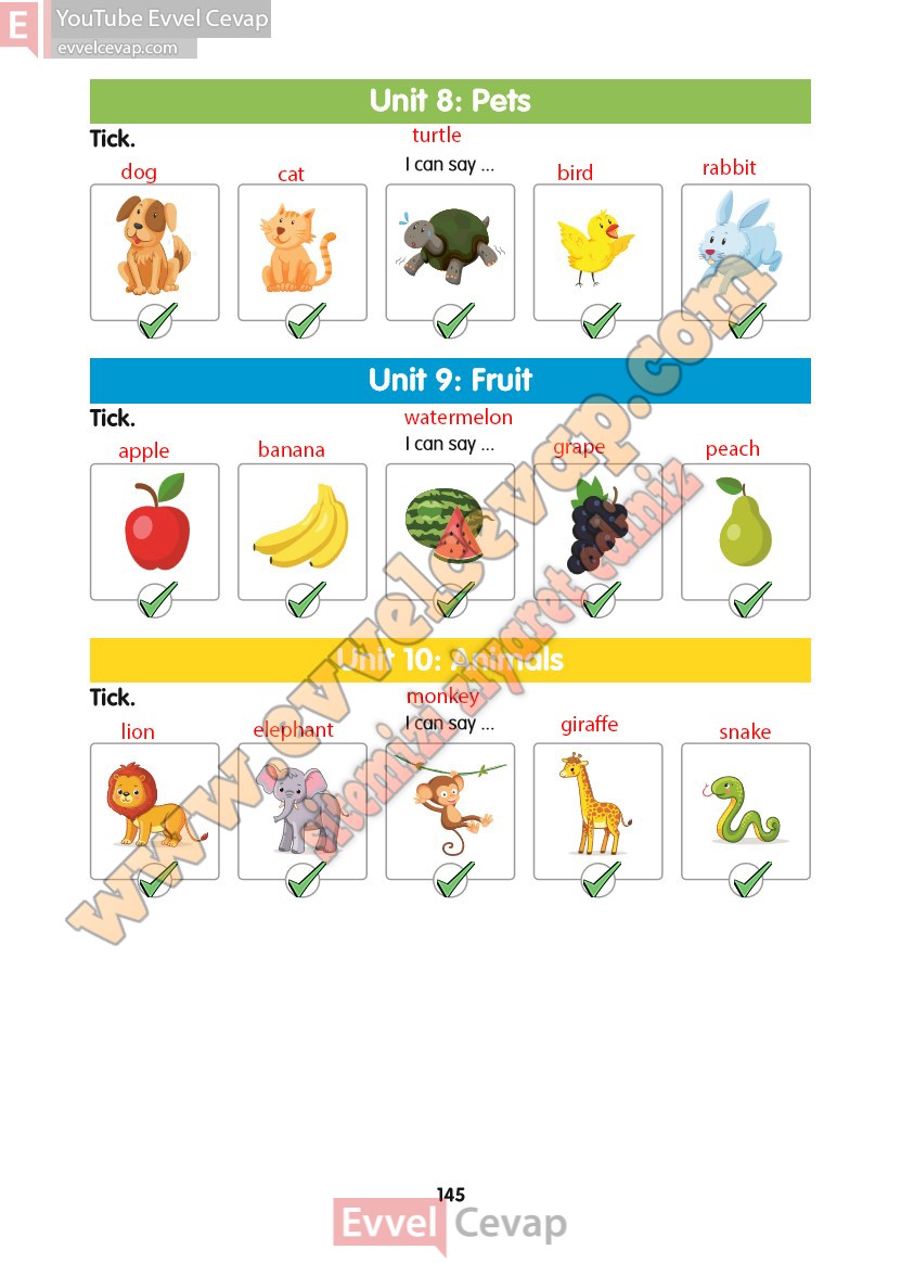 2-sinif-ingilizce-ders-kitabi-cevaplari-hecce-sayfa-145