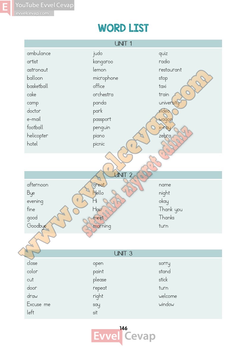 2-sinif-ingilizce-ders-kitabi-cevaplari-hecce-sayfa-146