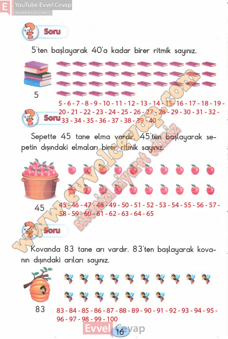 2-sinif-matematik-ders-kitabi-cevaplari-anka-sayfa-16