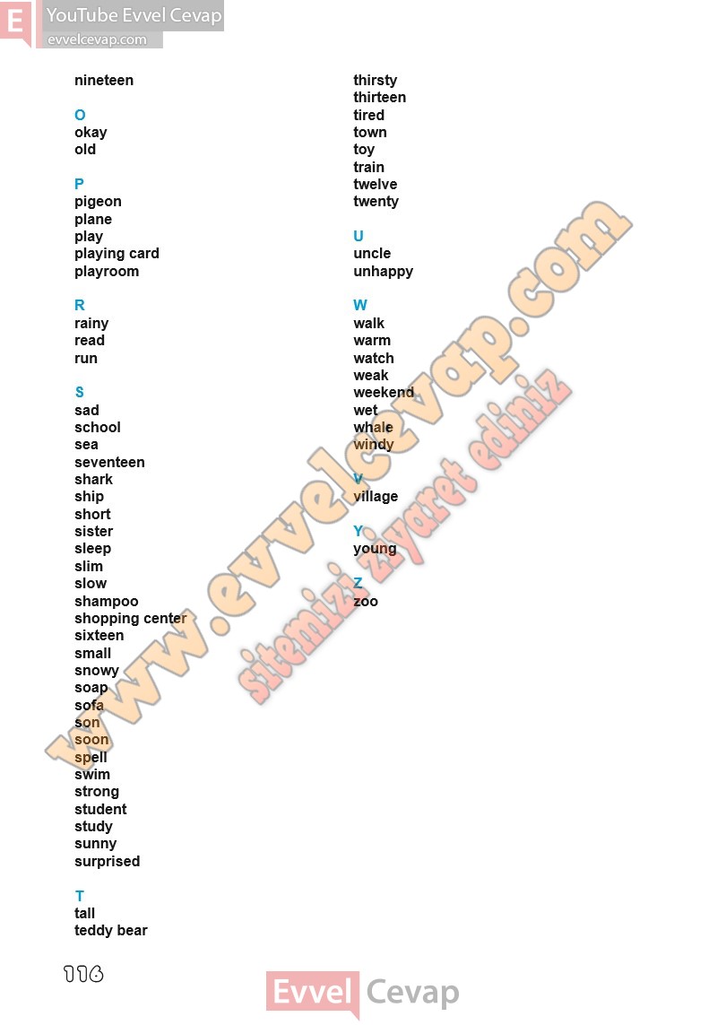 3-sinif-ingilizce-ders-kitabi-cevaplari-meb-sayfa-116