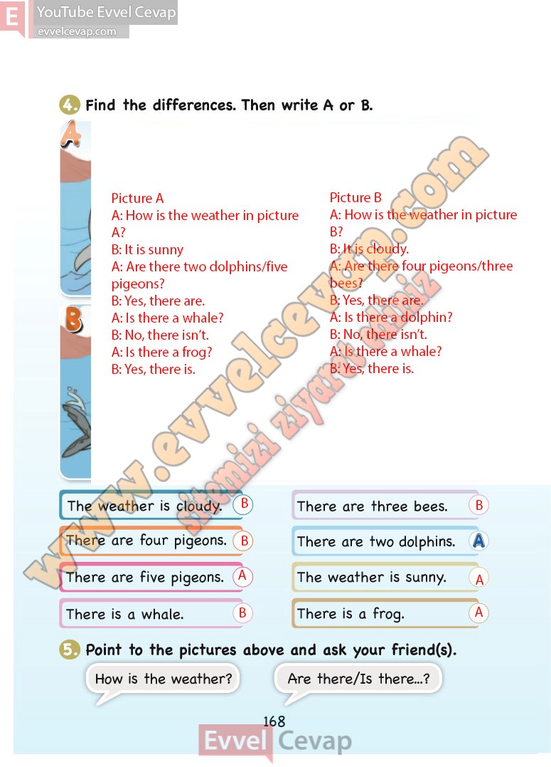 3-sinif-ingilizce-ders-kitabi-cevaplari-sdr-dikey-sayfa-168