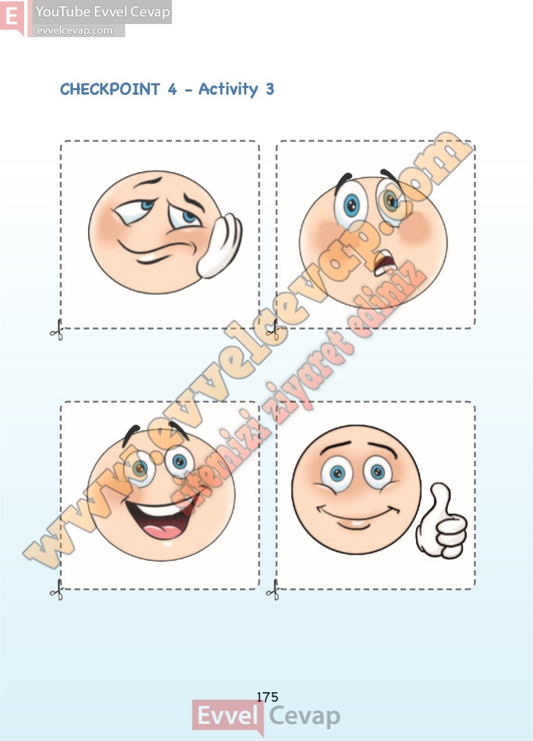 3-sinif-ingilizce-ders-kitabi-cevaplari-sdr-dikey-sayfa-175