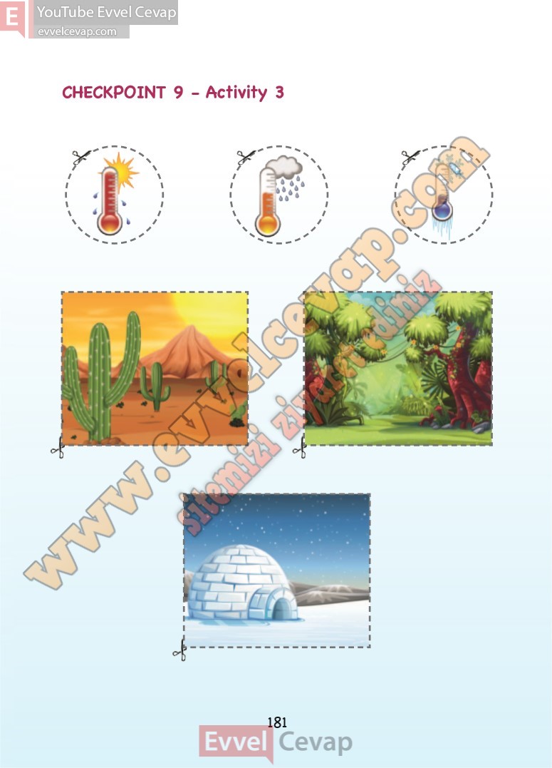 3-sinif-ingilizce-ders-kitabi-cevaplari-sdr-dikey-sayfa-181