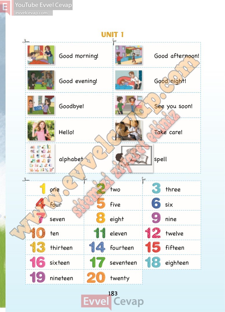 3-sinif-ingilizce-ders-kitabi-cevaplari-sdr-dikey-sayfa-183