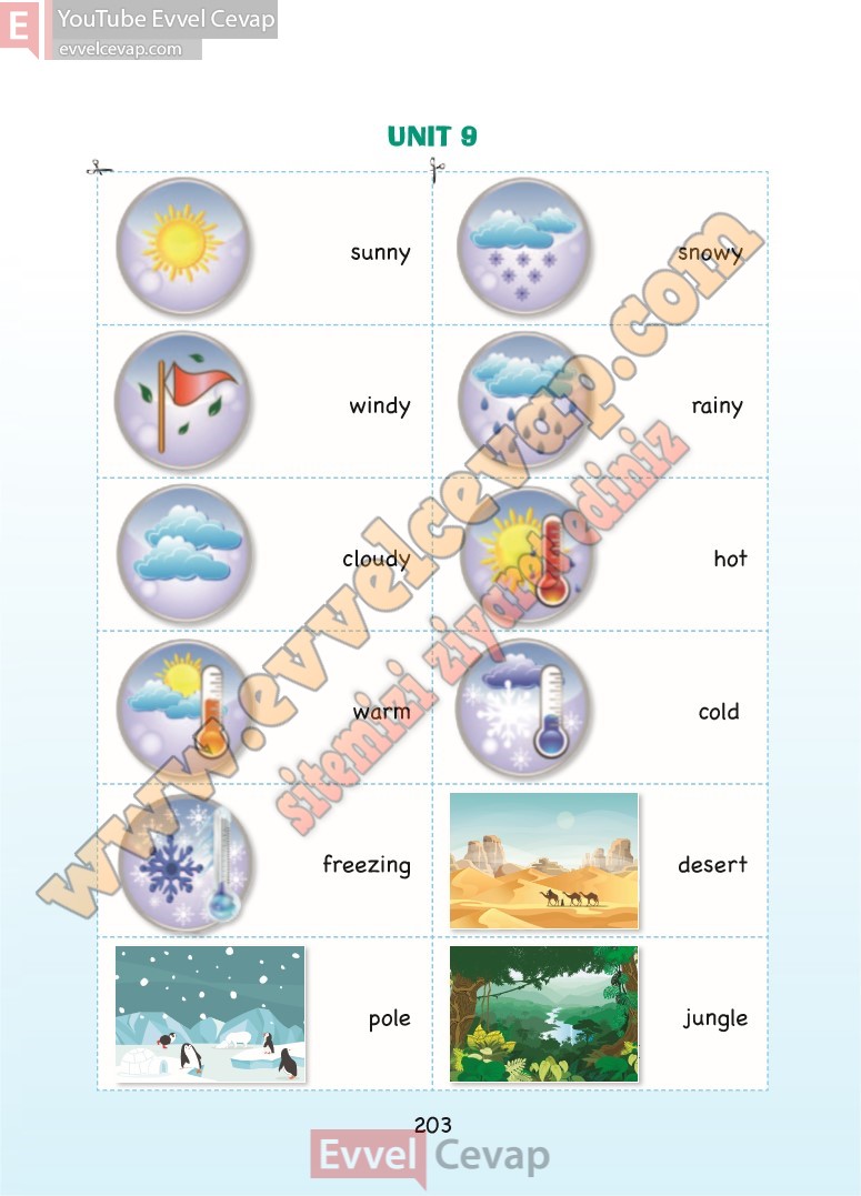 3-sinif-ingilizce-ders-kitabi-cevaplari-sdr-dikey-sayfa-203