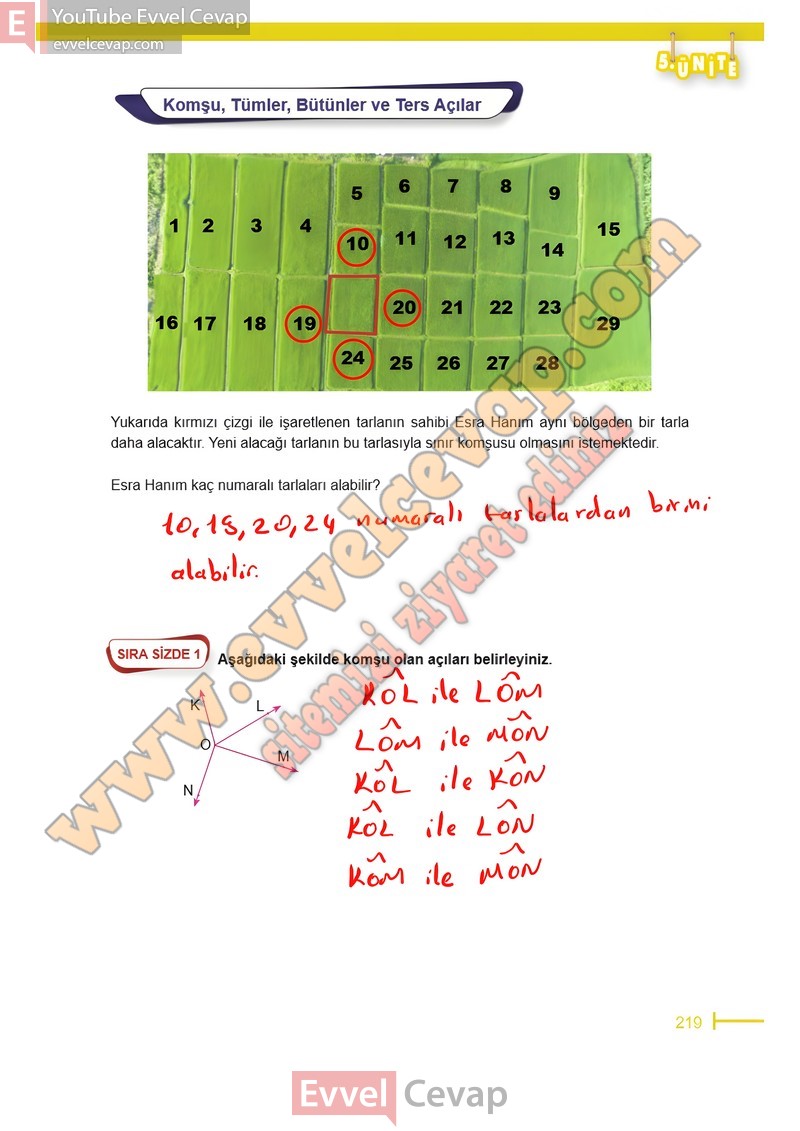 6-sinif-matematik-ders-kitabi-cevaplari-meb-sayfa-219