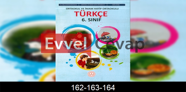 6. Sınıf Meb Yayınları Türkçe Ders Kitabı Cevapları Sayfa 162-163-164