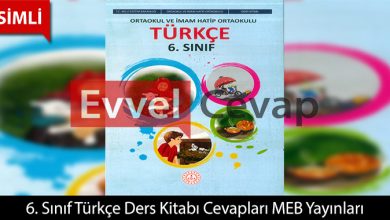 6. Sınıf Türkçe Ders Kitabı Cevapları