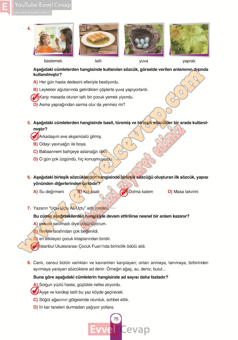 6-sinif-turkce-ders-kitabi-cevaplari-yildirim-yayinlari-sayfa-75