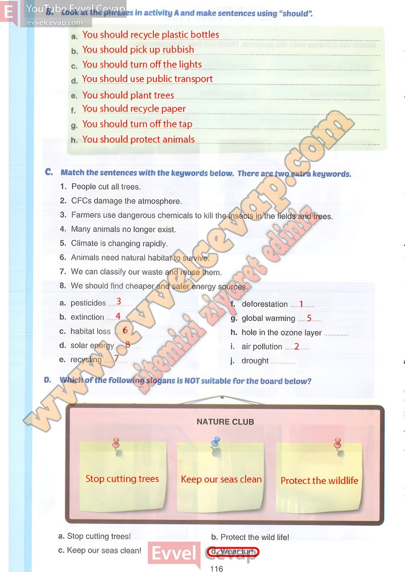 7-sinif-ingilizce-ders-kitabi-cevabi-yildirim-sayfa-116