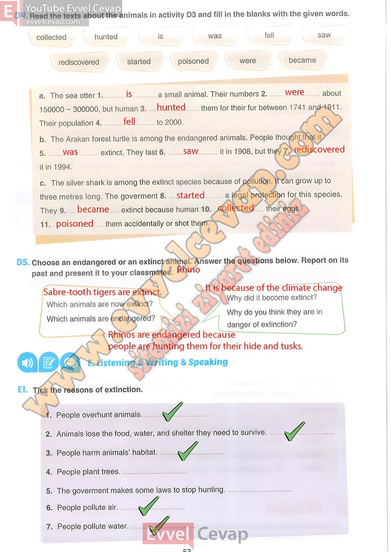 7-sinif-ingilizce-ders-kitabi-cevabi-yildirim-sayfa-53