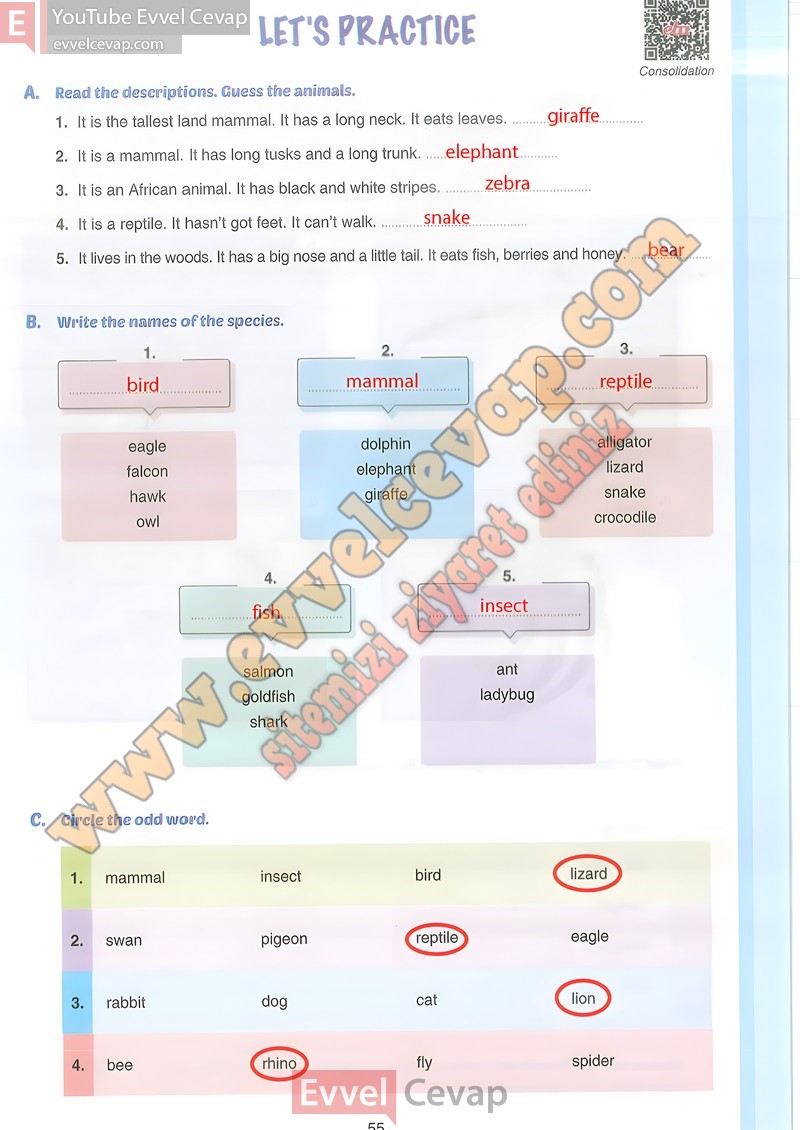 7-sinif-ingilizce-ders-kitabi-cevabi-yildirim-sayfa-55