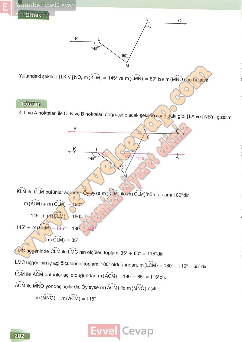 8-sinif-matematik-ders-kitabi-cevabi-ada-sayfa-202