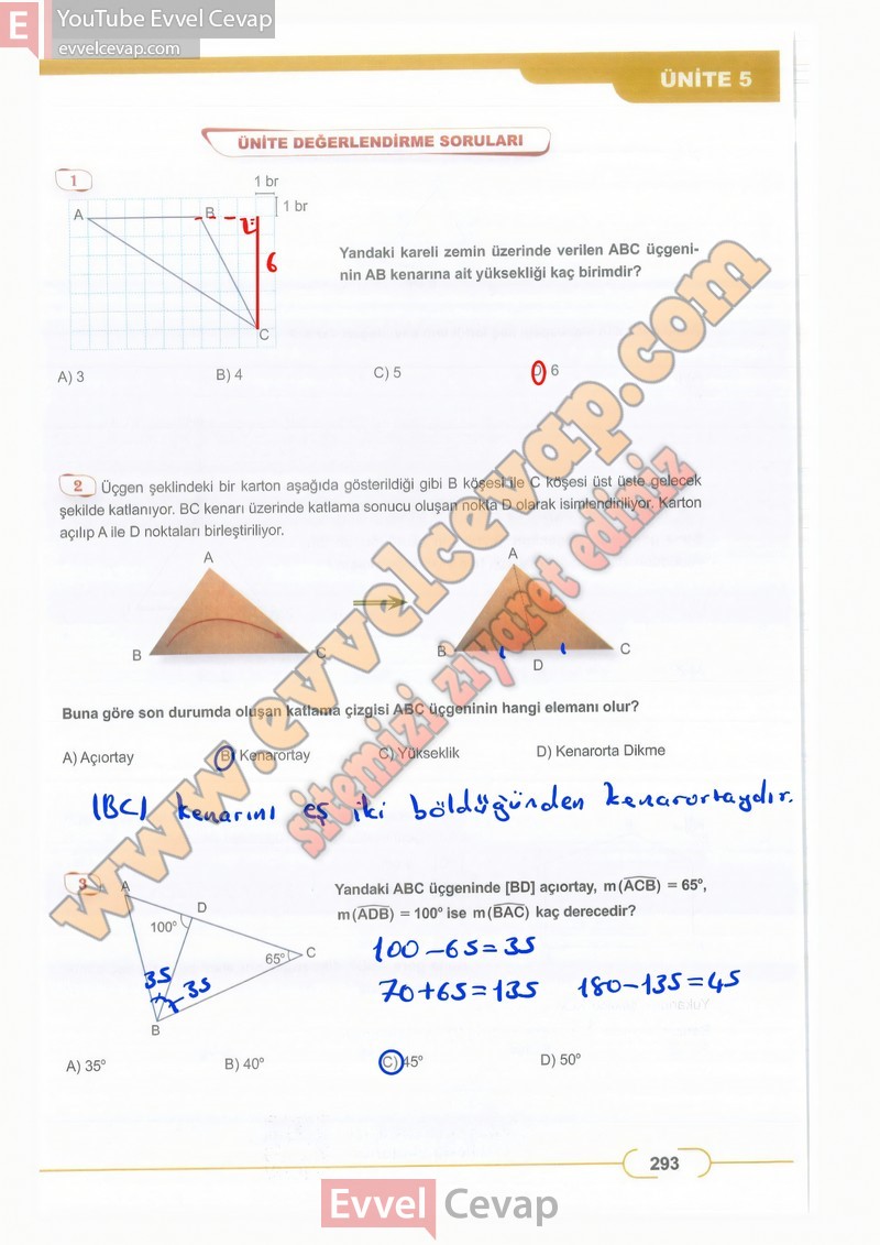 8-sinif-matematik-ders-kitabi-cevaplari-meb-sayfa-293