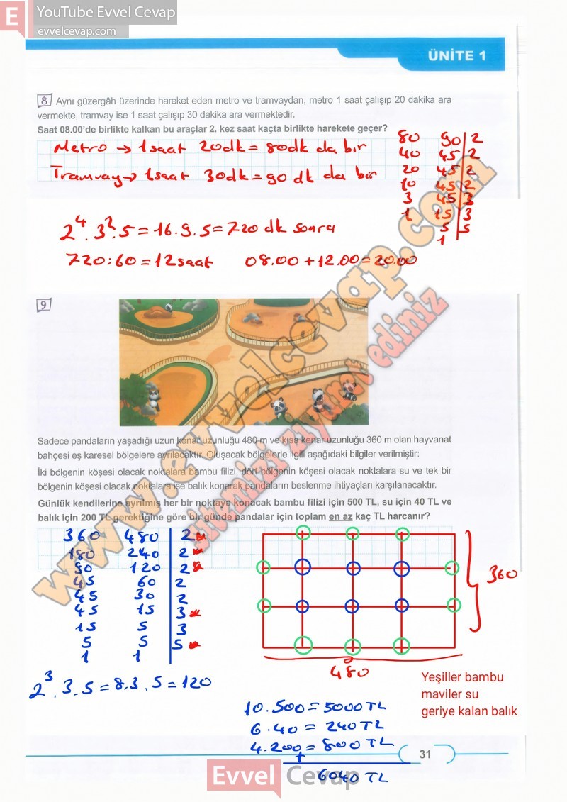 8-sinif-matematik-ders-kitabi-cevaplari-meb-sayfa-31