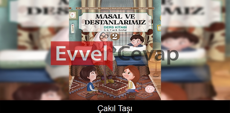 Çakıl Taşı Metni Etkinlik Cevapları (5-6-7-8. Sınıf)