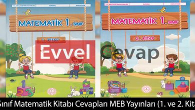 1. Sınıf Matematik Ders Kitabı Cevapları