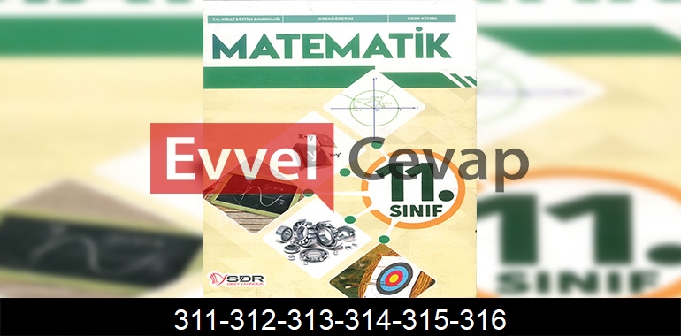 11. Sınıf Matematik Ders Kitabı Cevapları SDR Dikey Yayıncılık Sayfa 311-312-313-314-315-316