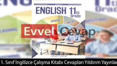 11. Sınıf Yıldırım Yayınları İngilizce Çalışma Kitabı Cevapları