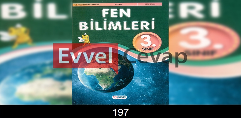 3. Sınıf Fen Bilimleri Ders Kitabı Cevapları SDR Dikey Yayıncılık Sayfa 197