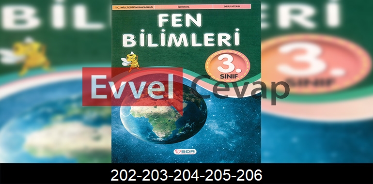 3. Sınıf Fen Bilimleri Ders Kitabı Cevapları SDR Dikey Yayıncılık Sayfa 202-203-204-205-206