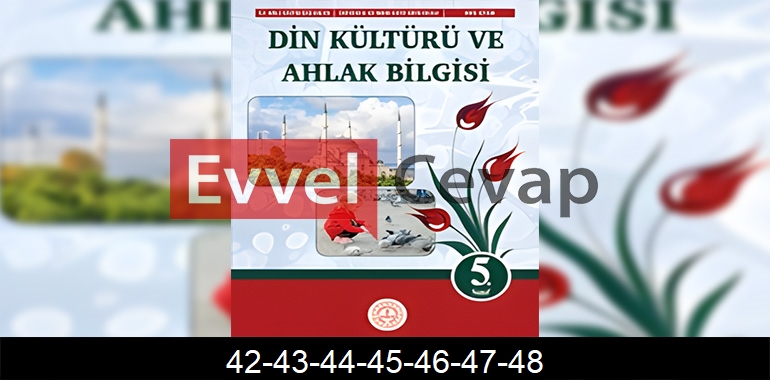 5. Sınıf Din Kültürü Kitabı Cevapları Sayfa 42-43-44-45-46-47-48