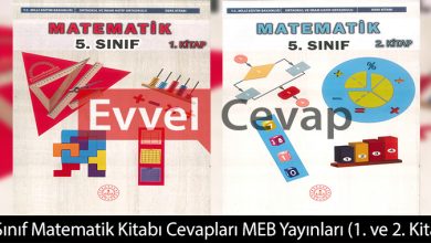 5. Sınıf Matematik Ders Kitabı Cevapları