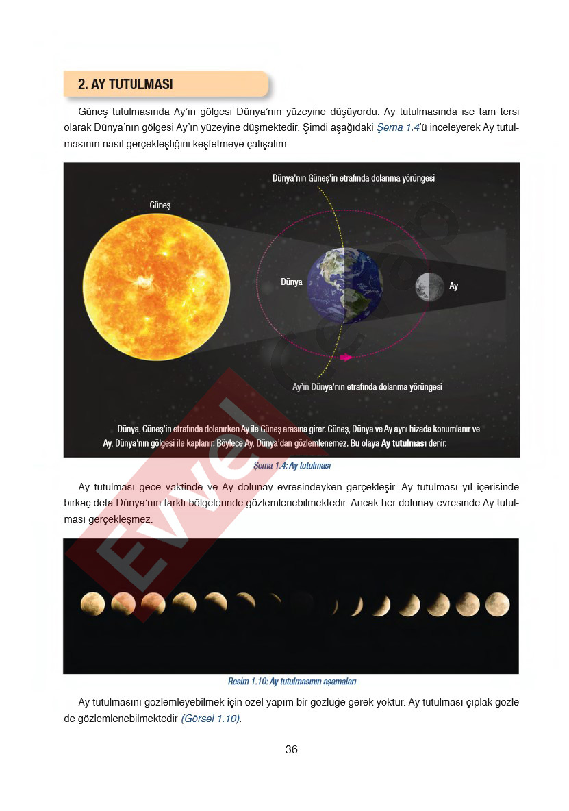 6-sinif-fen-bilimleri-ders-kitabi-cevaplari-gun-yayincilik-sayfa-36