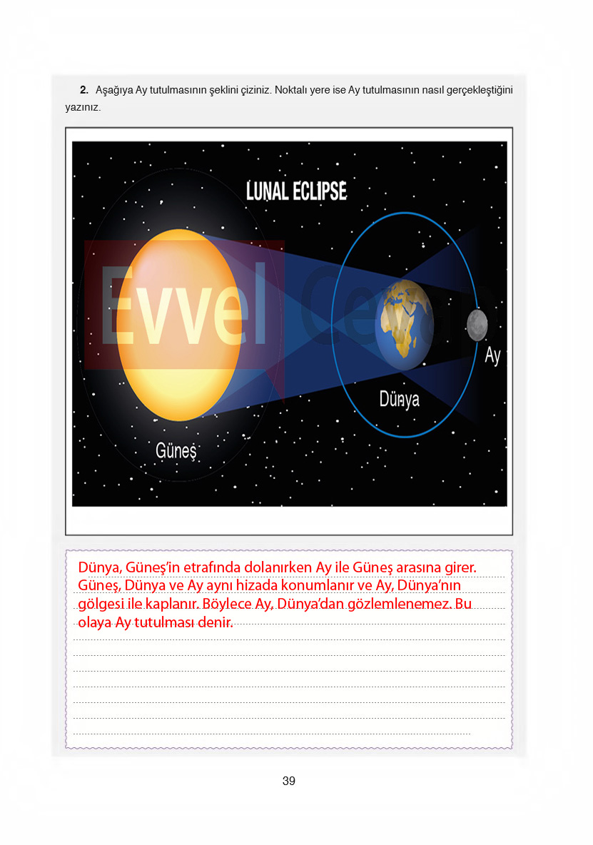 6-sinif-fen-bilimleri-ders-kitabi-cevaplari-gun-yayincilik-sayfa-39