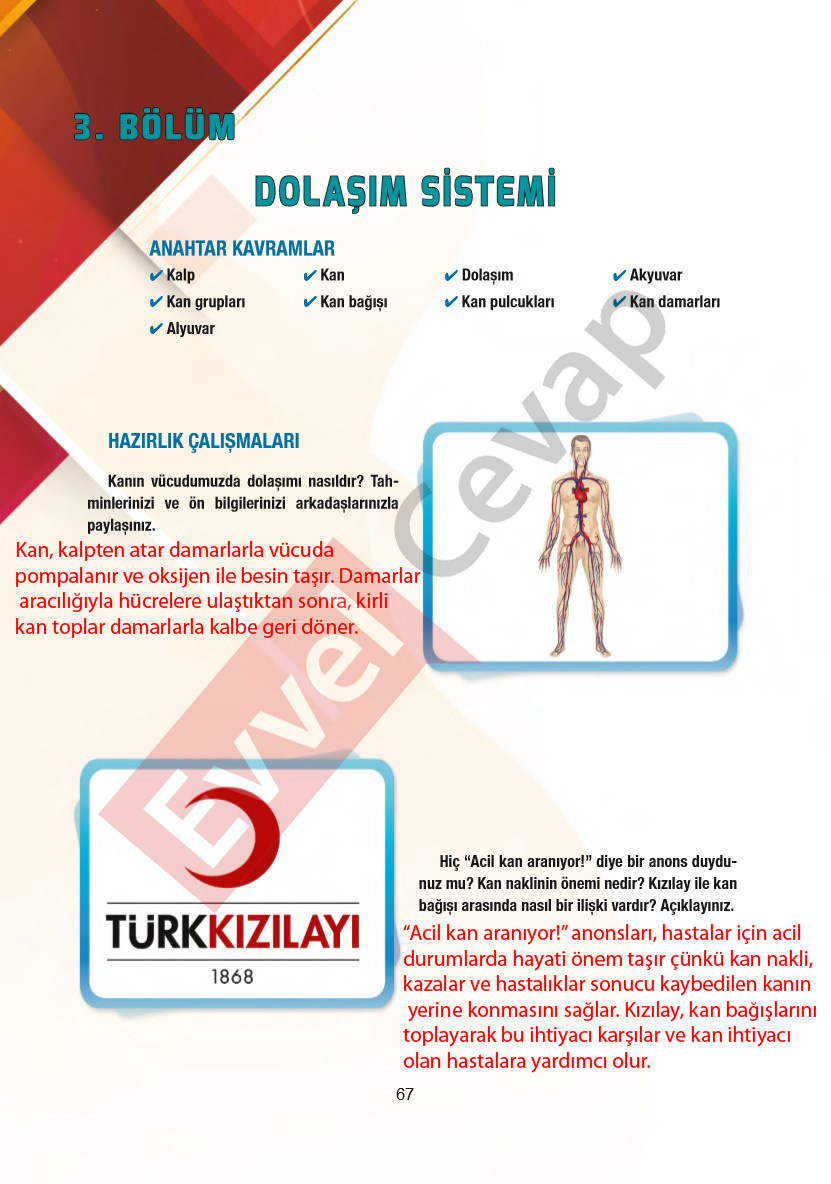 6-sinif-fen-bilimleri-ders-kitabi-cevaplari-gun-yayincilik-sayfa-67