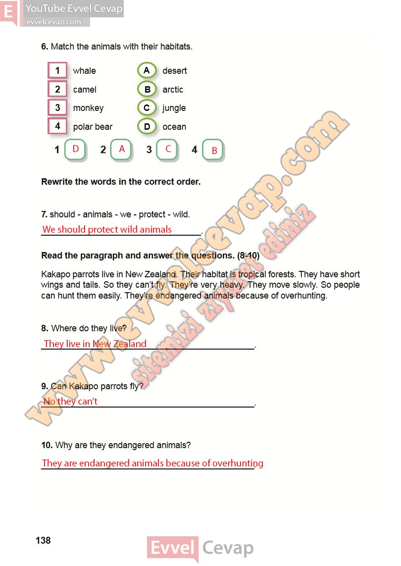 7-sinif-ingilizce-meb-ders-kitabi-cevabi-sayfa-138