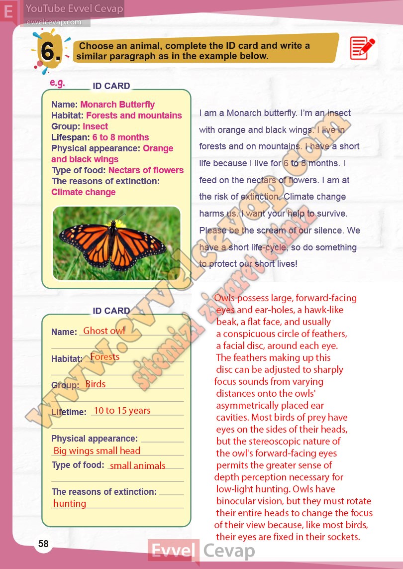 7-sinif-ingilizce-meb-ders-kitabi-cevabi-sayfa-58