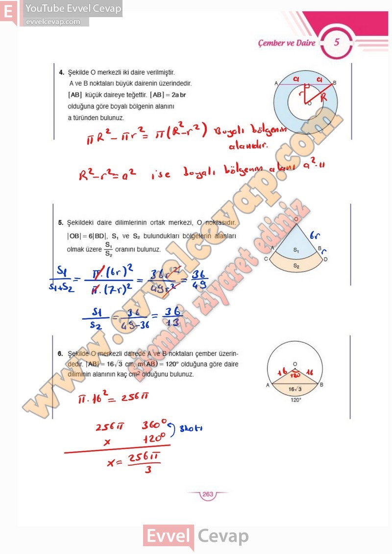 11-sinif-matematik-ders-kitabi-cevaplari-sdr-dikey-sayfa-263