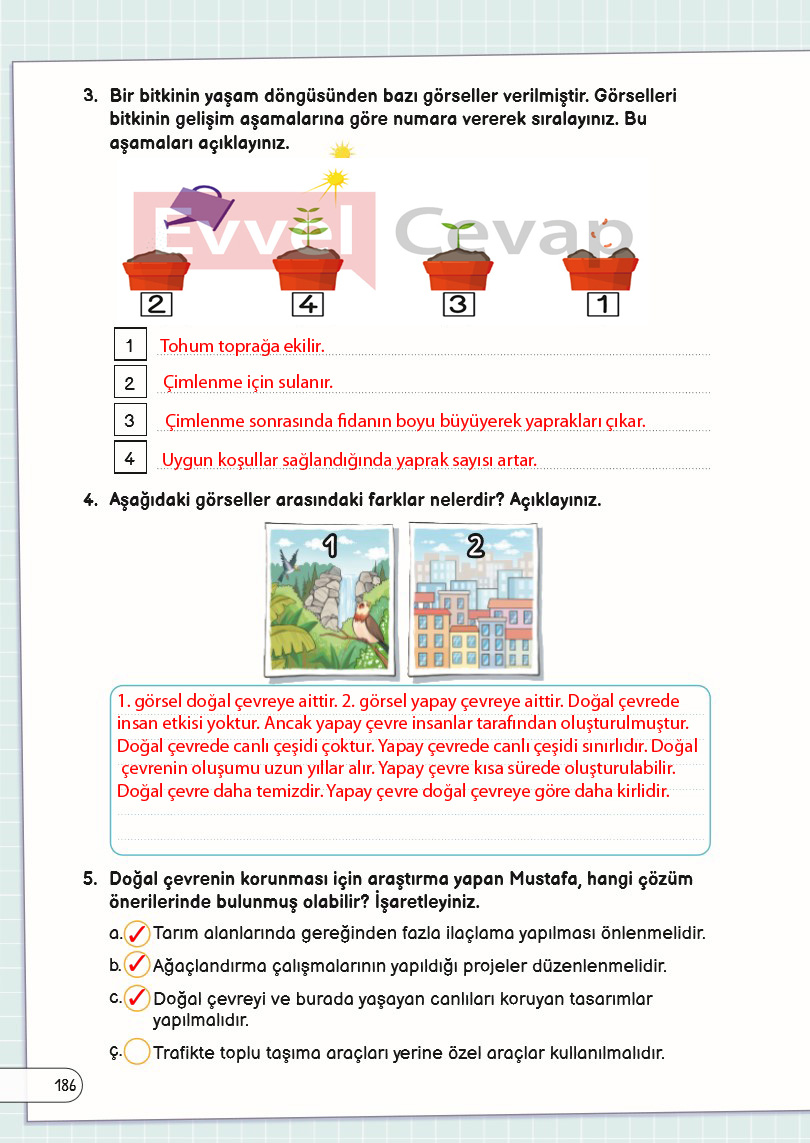3-sinif-fen-bilimleri-ders-kitabi-cevaplari-sayfa-186
