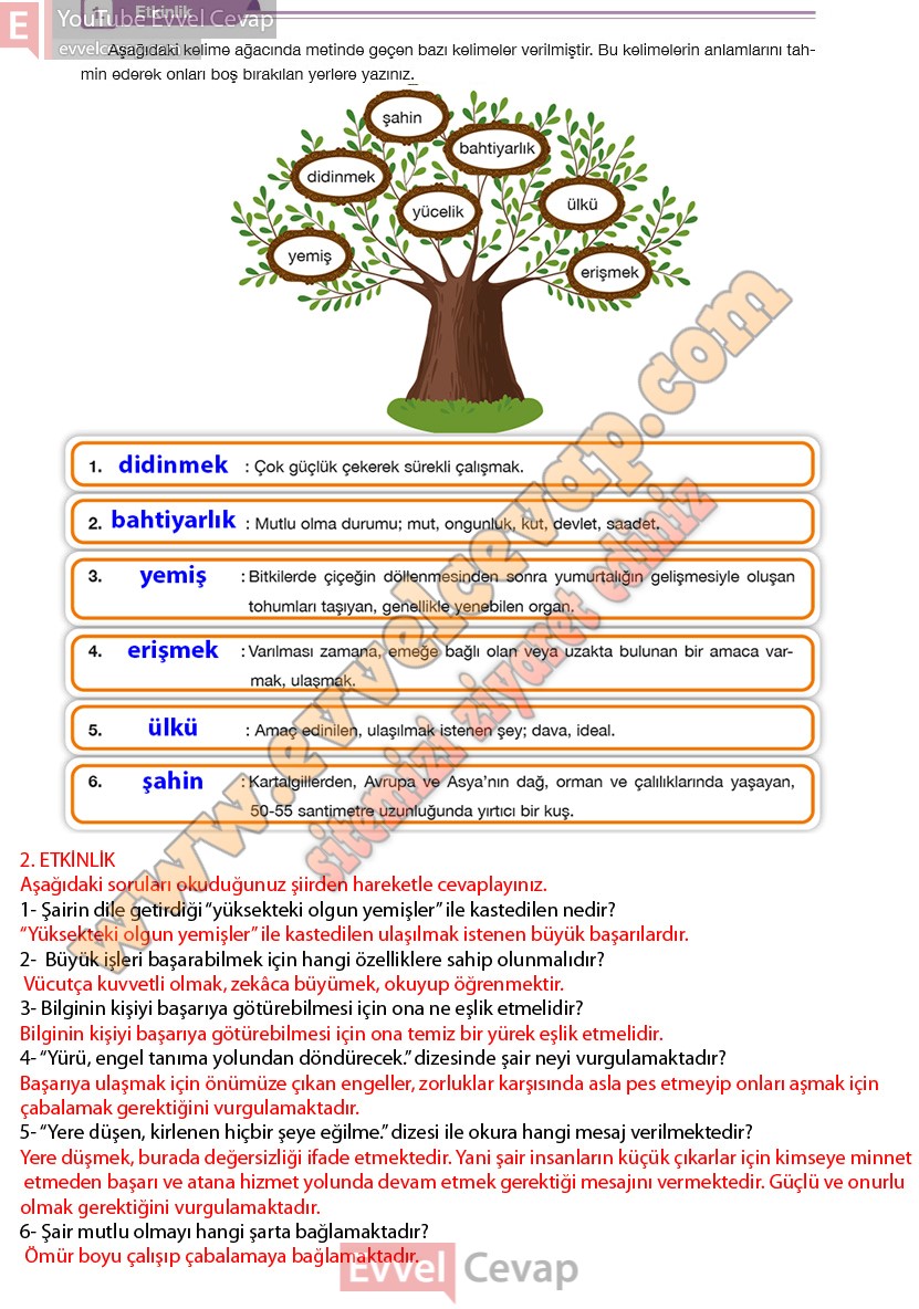 7-sinif-turkce-ders-kitabi-cevaplari-ozgun-yayincilik-sayfa-155