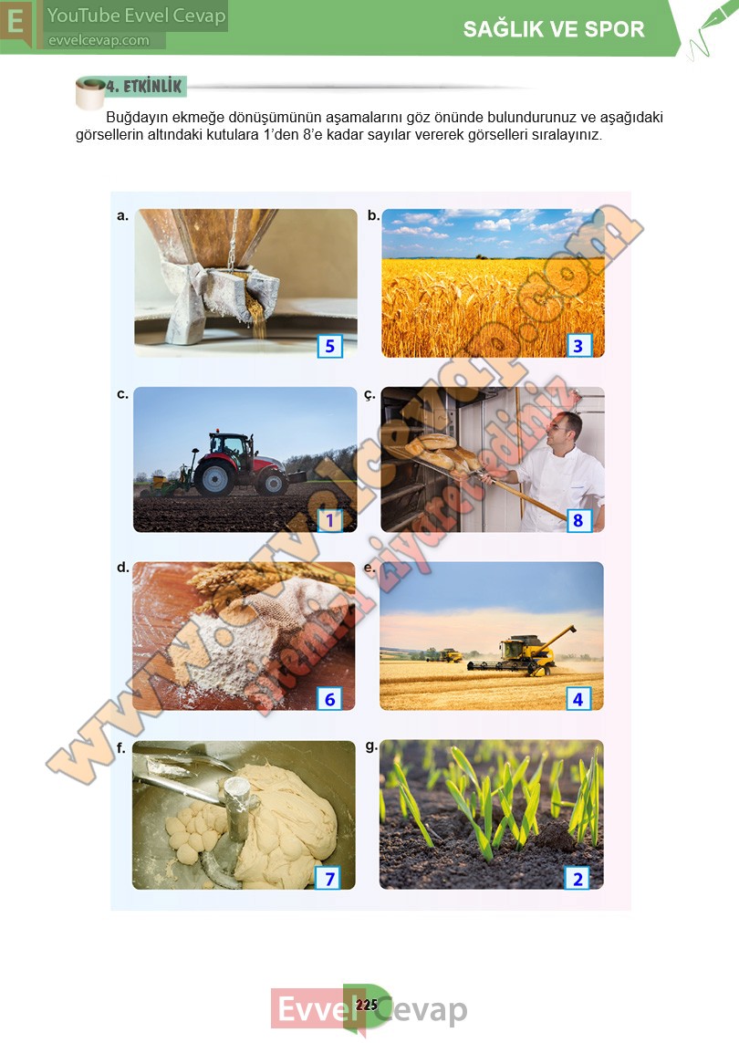 6-sinif-turkce-ders-kitabi-cevaplari-meb-yayinlari-sayfa-225