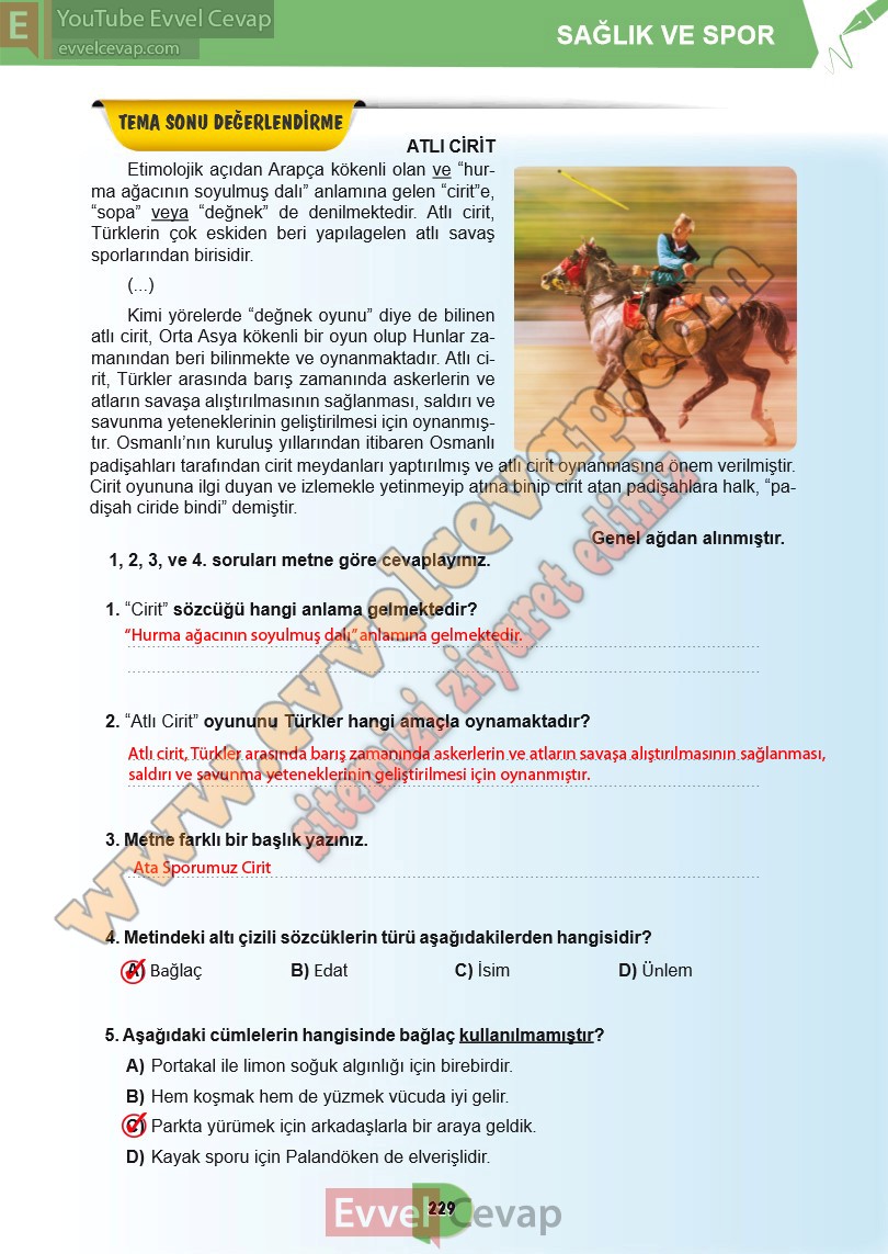 6-sinif-turkce-ders-kitabi-cevaplari-meb-yayinlari-sayfa-229