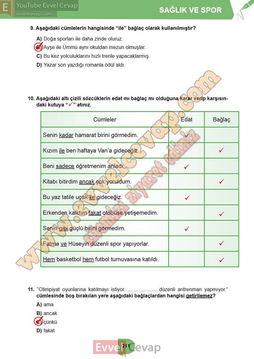 6-sinif-turkce-ders-kitabi-cevaplari-meb-yayinlari-sayfa-231