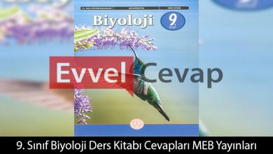 9. Sınıf Biyoloji Ders Kitabı Cevapları