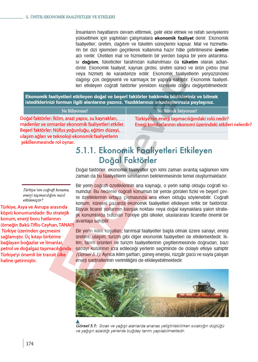 9-sinif-cografya-ders-kitabi-cevaplari-meb-yayincilik-sayfa-174