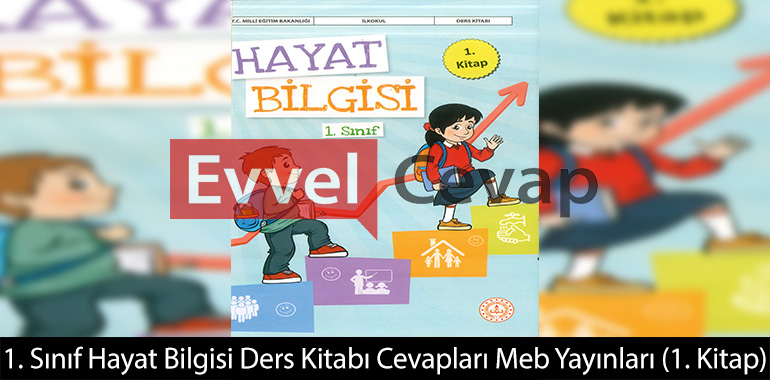 1. Sınıf Hayat Bilgisi 1. Kitap Cevapları Meb Yayınları